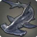 silver shark ffxiv|oddly delicate hammerhead shark ffxiv.
